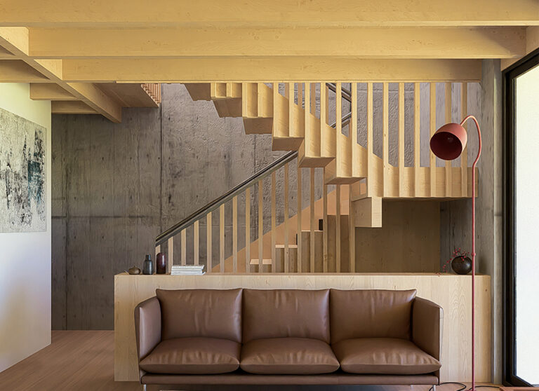 El Zorro | Condominio Parque